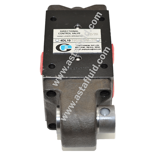 4DL10T04GS- POLYHYDRON