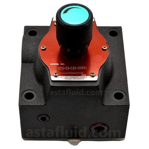 Flow Control and Check Valves, FCG03-125-22801, YUKEN