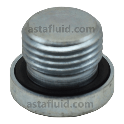 Socket Head Plug, VSTIG06E, 3/4" BSP- HYLOC