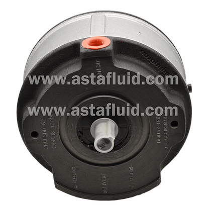 Radial Piston Pump 2RC7ZZ-62 POLYHYDRON