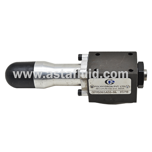 DPMH-06-SB-100, Polyhydron