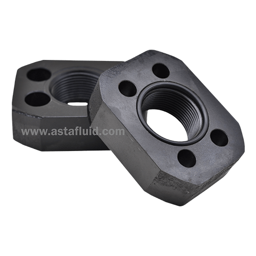 SAE Flange 1 1/4"BSP